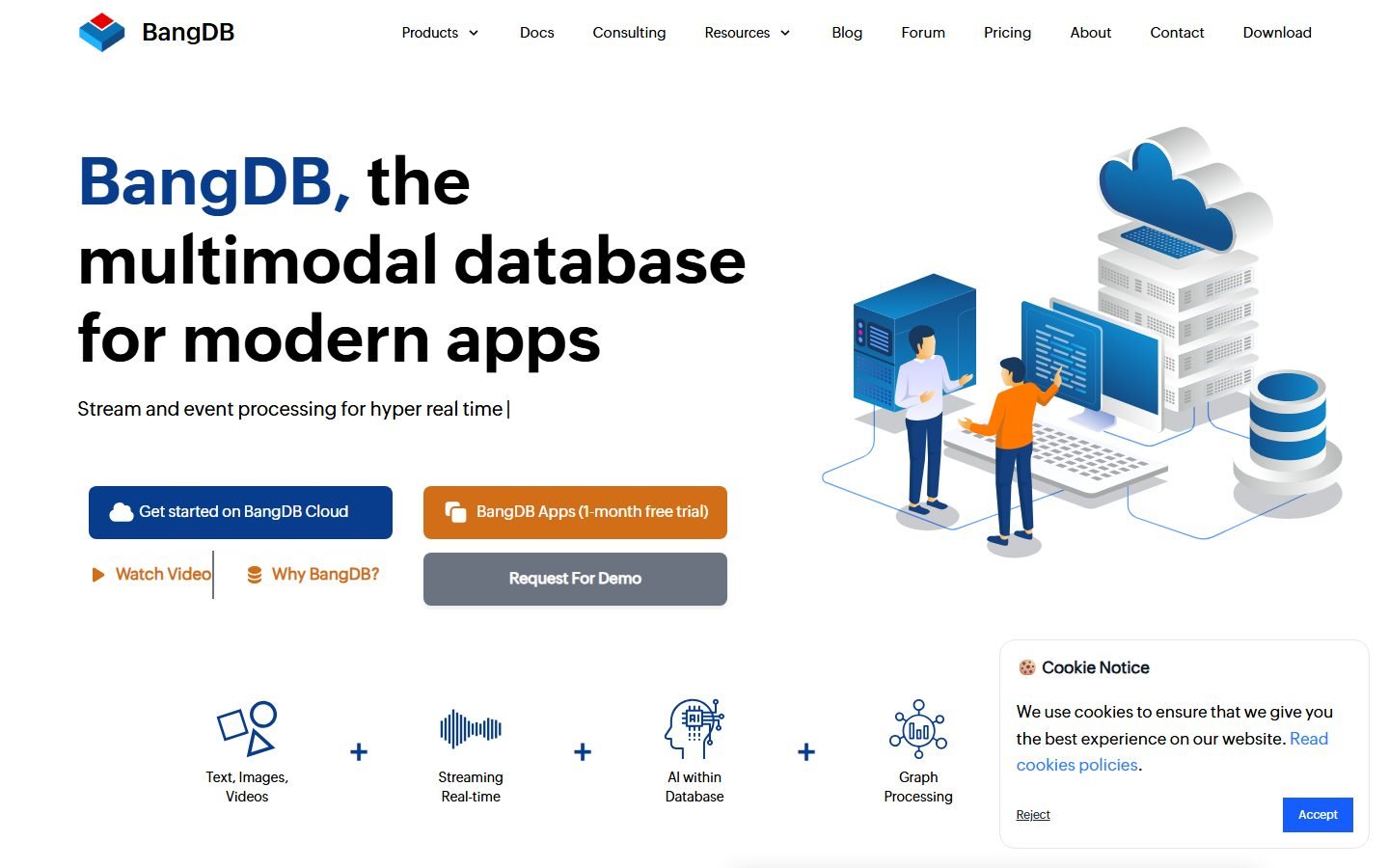 BangDB website